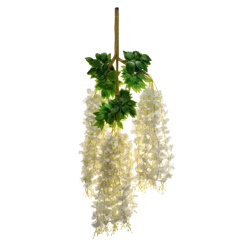 Wisteria Murah