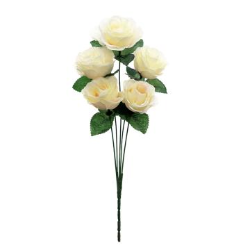 MIni Rose Salem K5