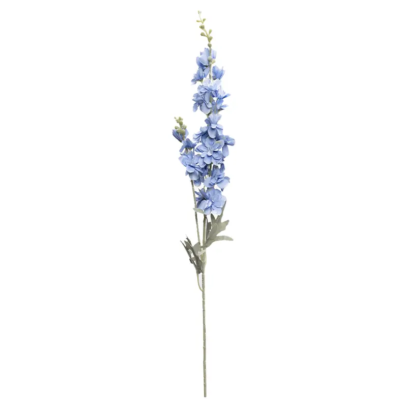 Snapdragon Biru