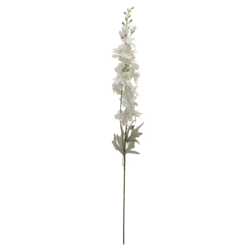 Snapdragon Putih