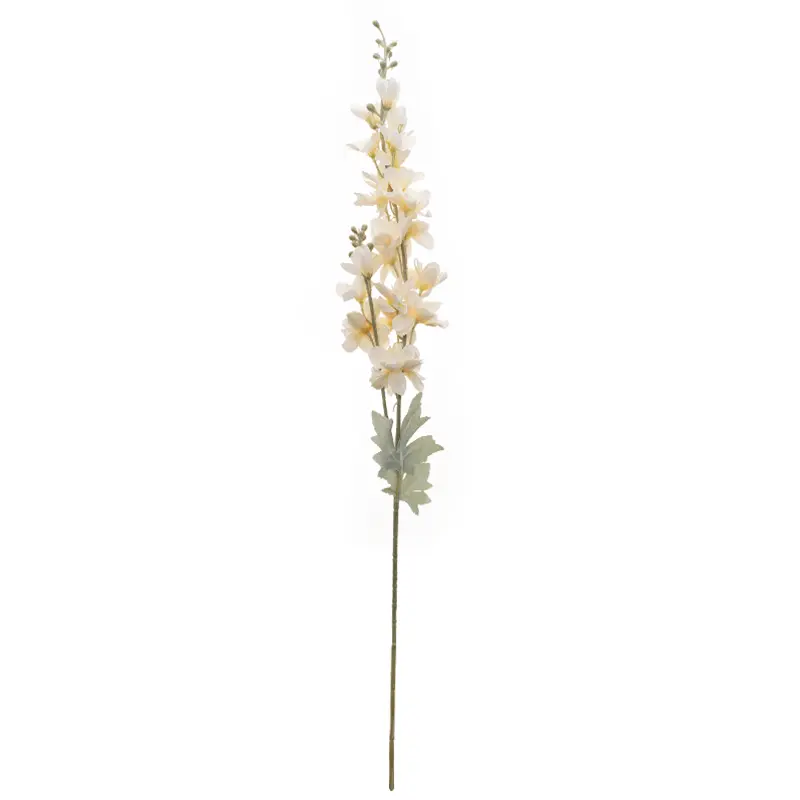 Snapdragon Salem