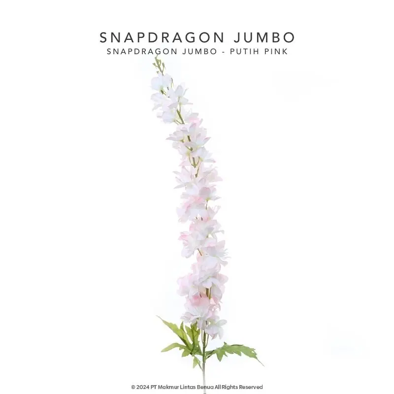 Snapdragon Jumbo Single - Putih Pink