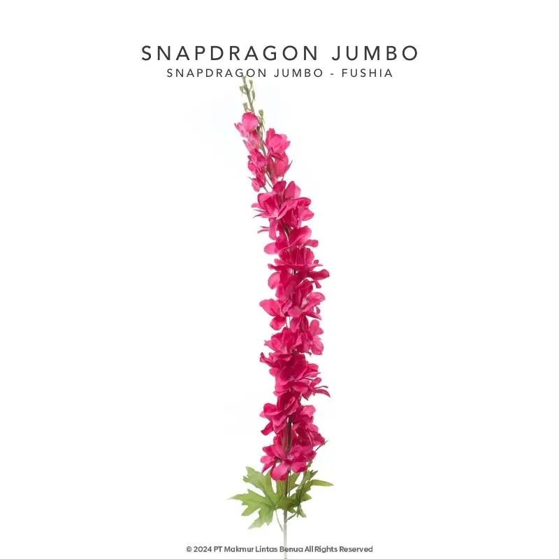 Snapdragon Jumbo Single - Fushia