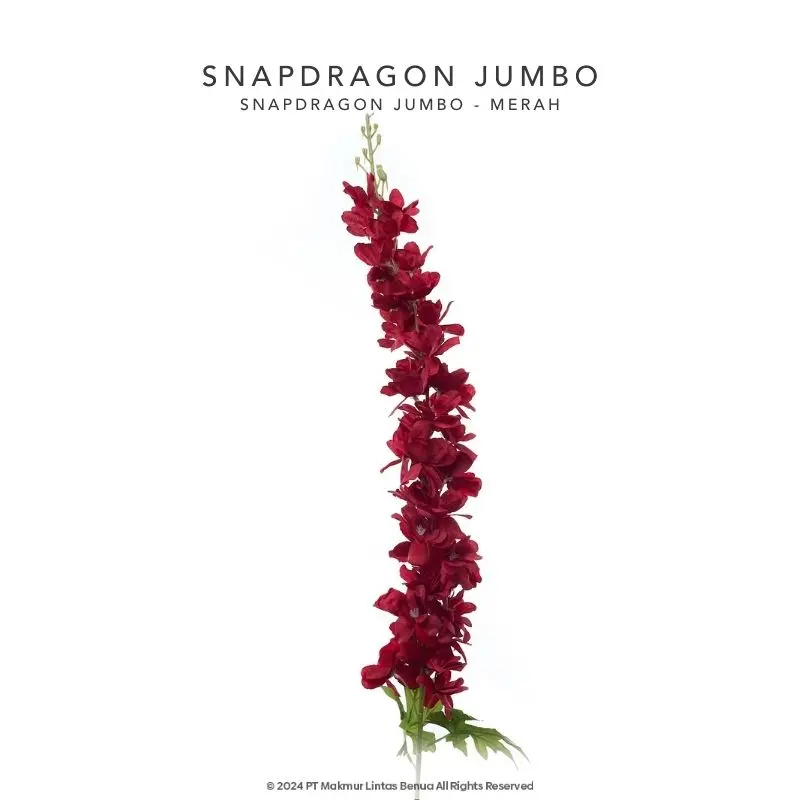 Snapdragon Jumbo Single - Merah