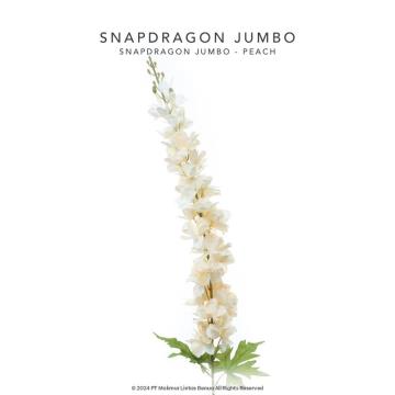 Snapdragon Jumbo Single - Peach