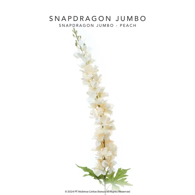 Snapdragon Jumbo Single - Peach