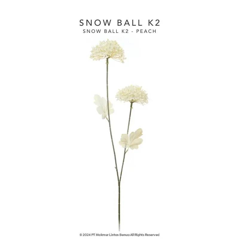 Snow Ball K2 - Peach