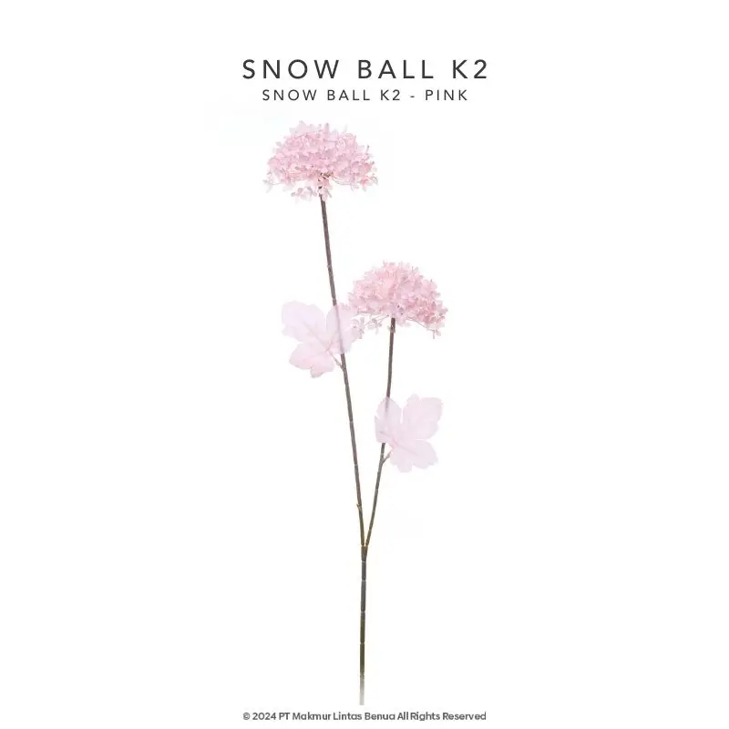 Snow Ball K2 - Pink