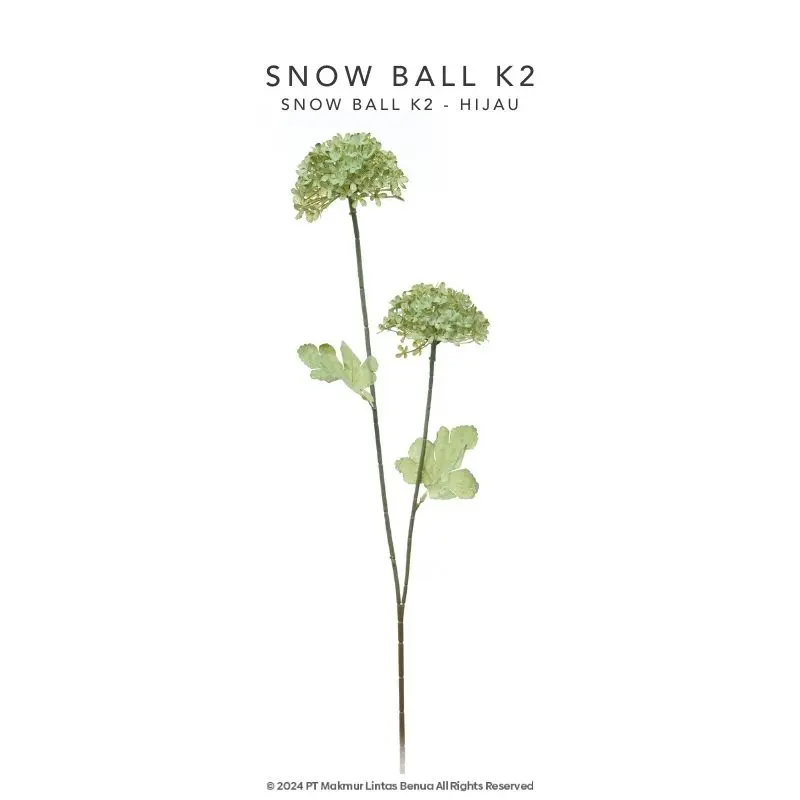 Snow Ball K2 - Hijau
