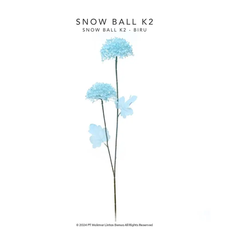 Snow Ball K2 - Biru