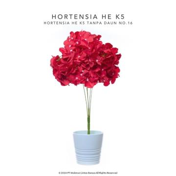 HORTENSIA HE - Pink Fusia