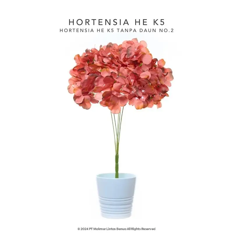HORTENSIA HE - Orange
