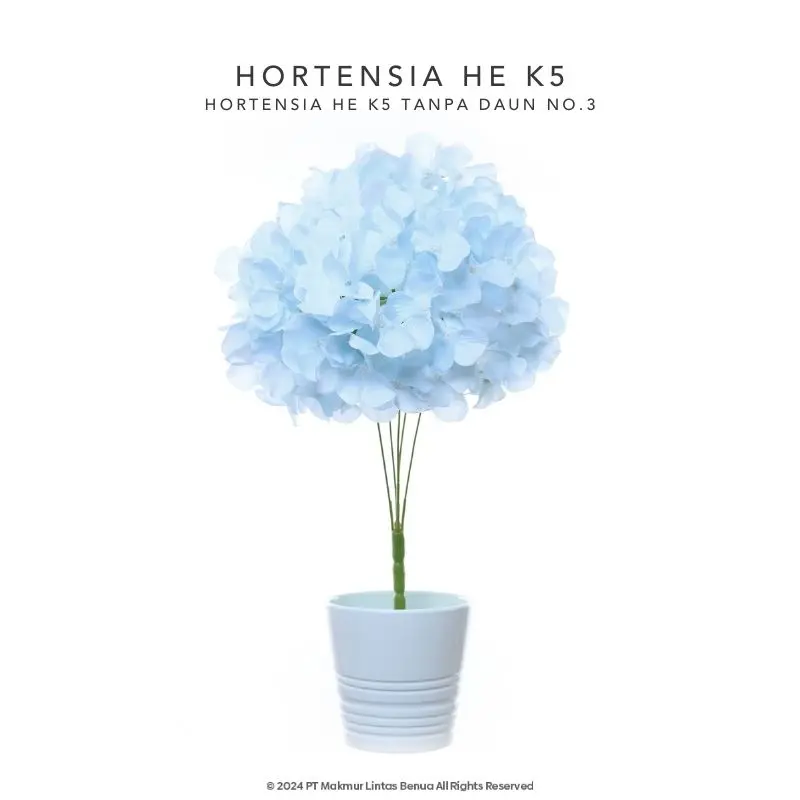 HORTENSIA HE - Soft Blue