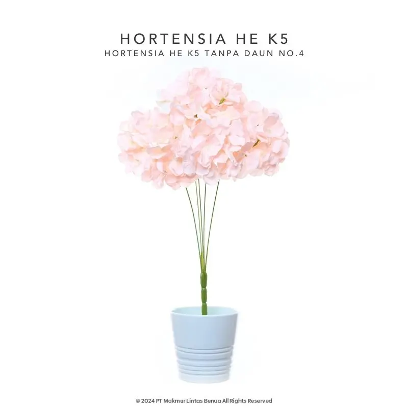 HORTENSIA HE - Soft Pink
