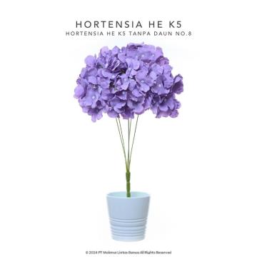 HORTENSIA HE - Soft Purple
