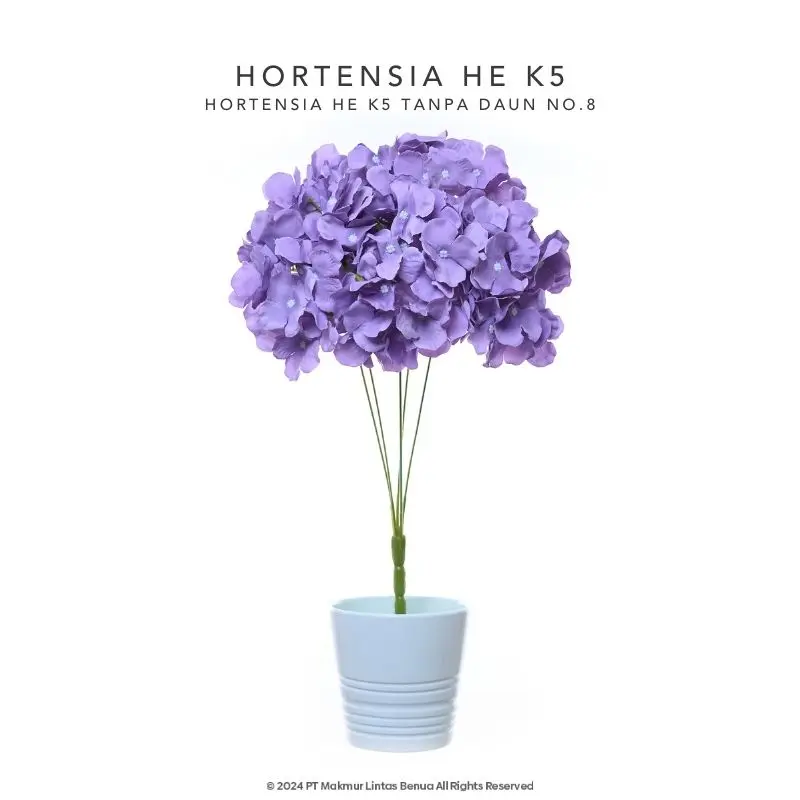 HORTENSIA HE - Soft Purple