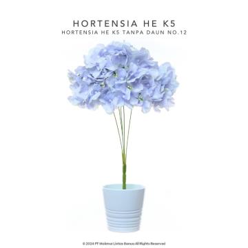 HORTENSIA HE - Violet