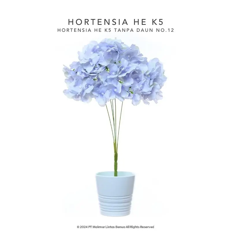 HORTENSIA HE - Violet
