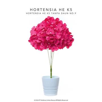 HORTENSIA HE - Red Wine