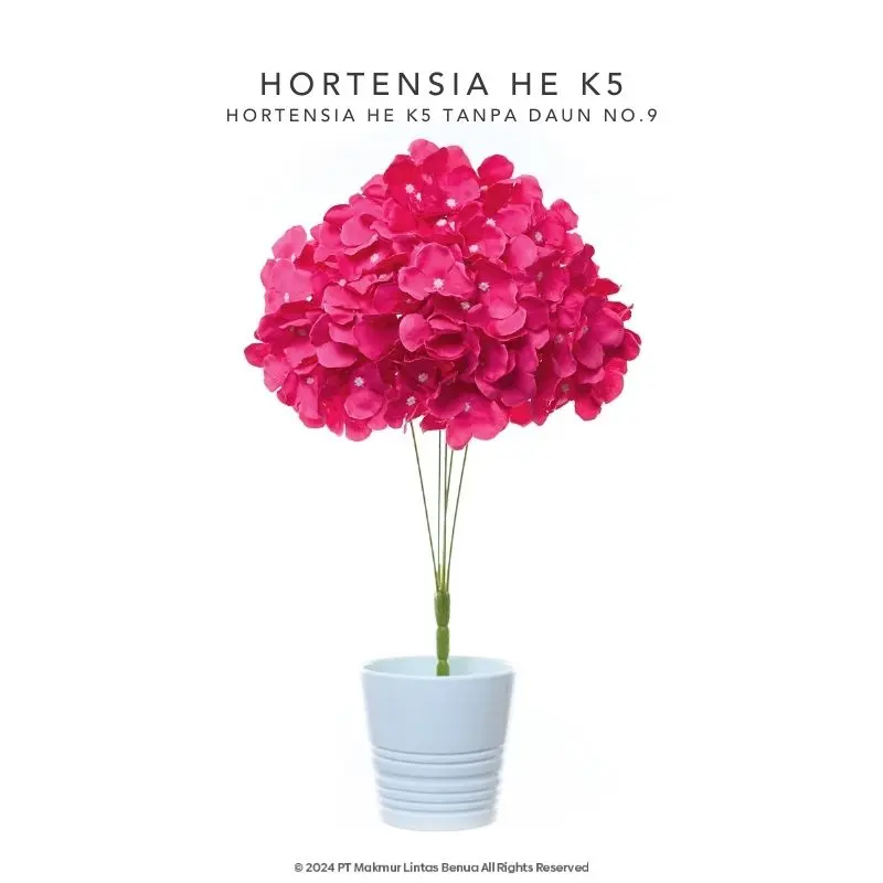 HORTENSIA HE - Red Wine