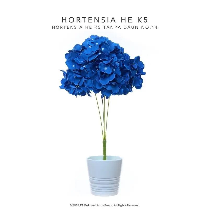 HORTENSIA HE - Blue