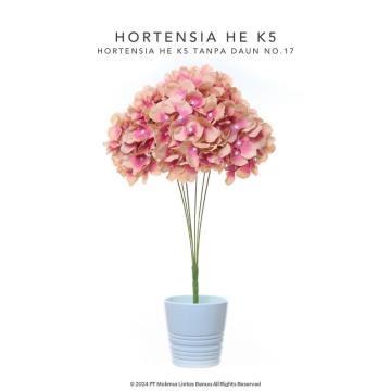 HORTENSIA HE - Pink Sembur