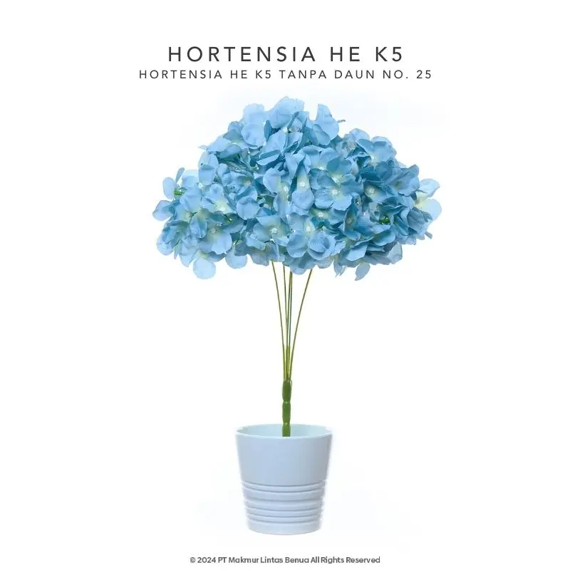 HORTENSIA HE - Sky Blue