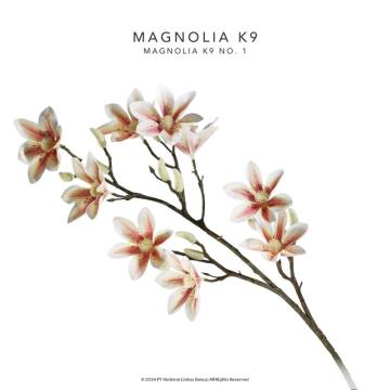 BUNGA MAGNOLIA K9 - Putih Sembur