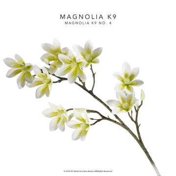 BUNGA MAGNOLIA K9 - Putih Sembur Kuning
