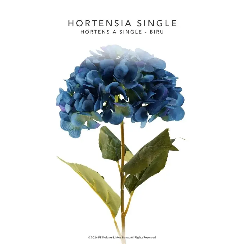 HORTENSIA SINGLE - BIRU