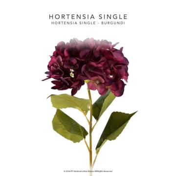 HORTENSIA SINGLE - Bergundy