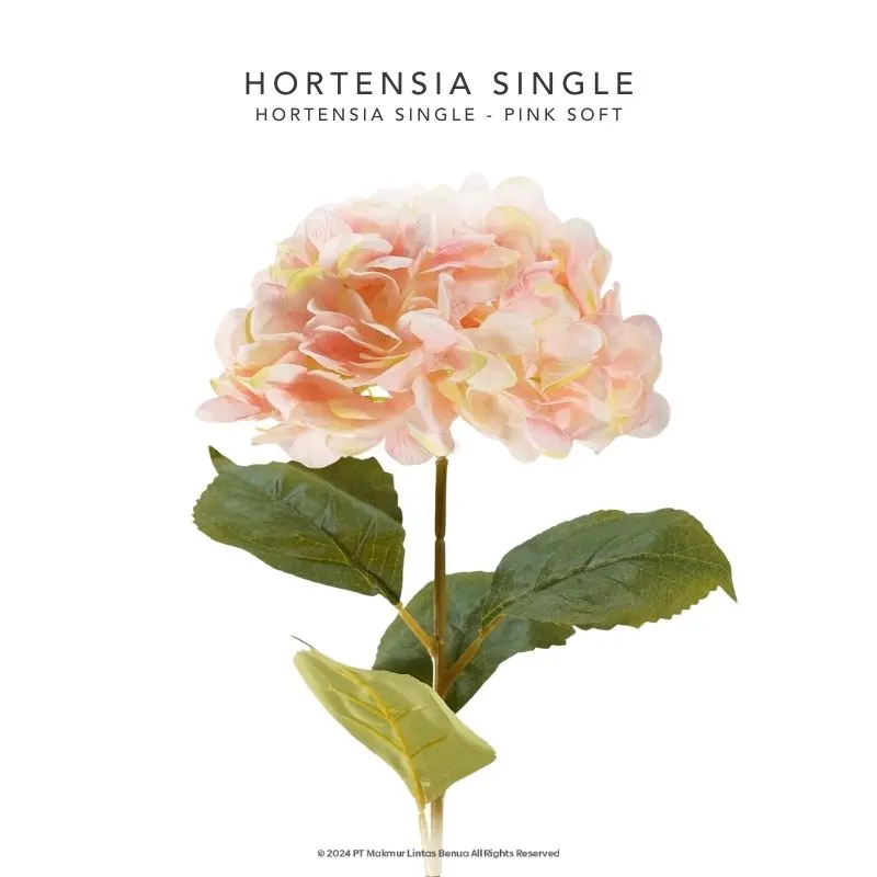 HORTENSIA SINGLE - Pink Soft