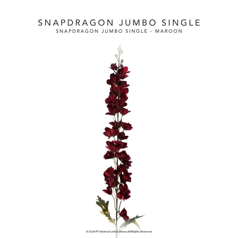 Snapdragon Jumbo Single - Maroon