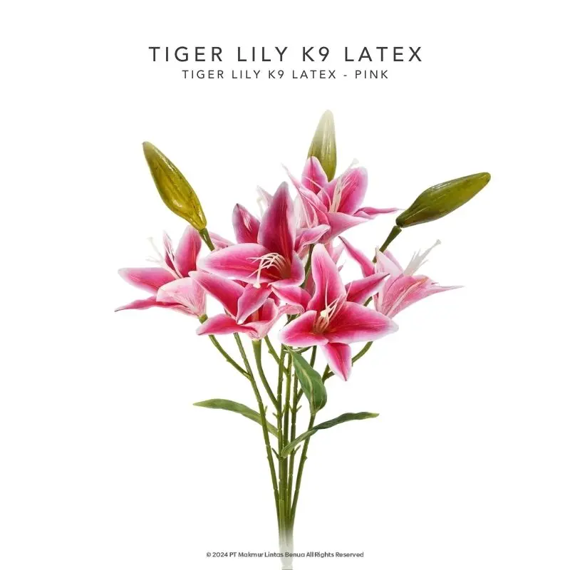 Tiger Lily K9 Latex - Pink