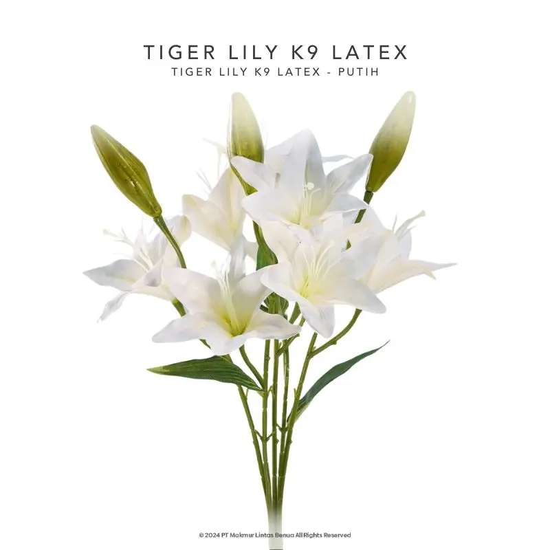 Tiger Lily K9 Latex - Putih