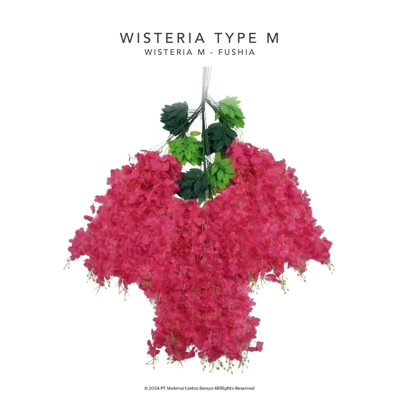 Wisteria Type M - Fushia