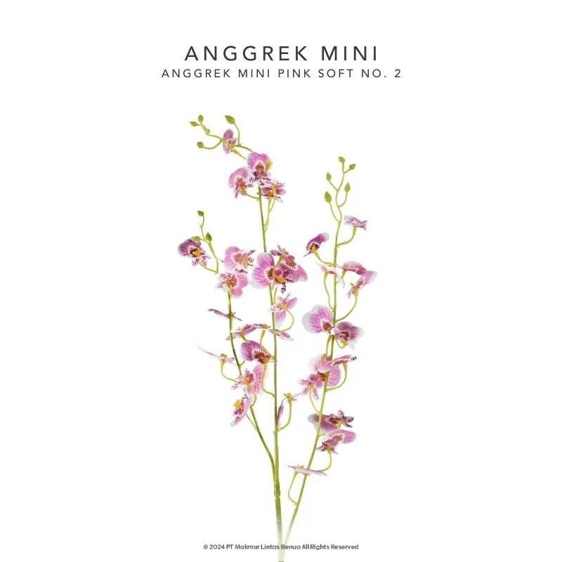 Anggrek Mini - Soft Pink