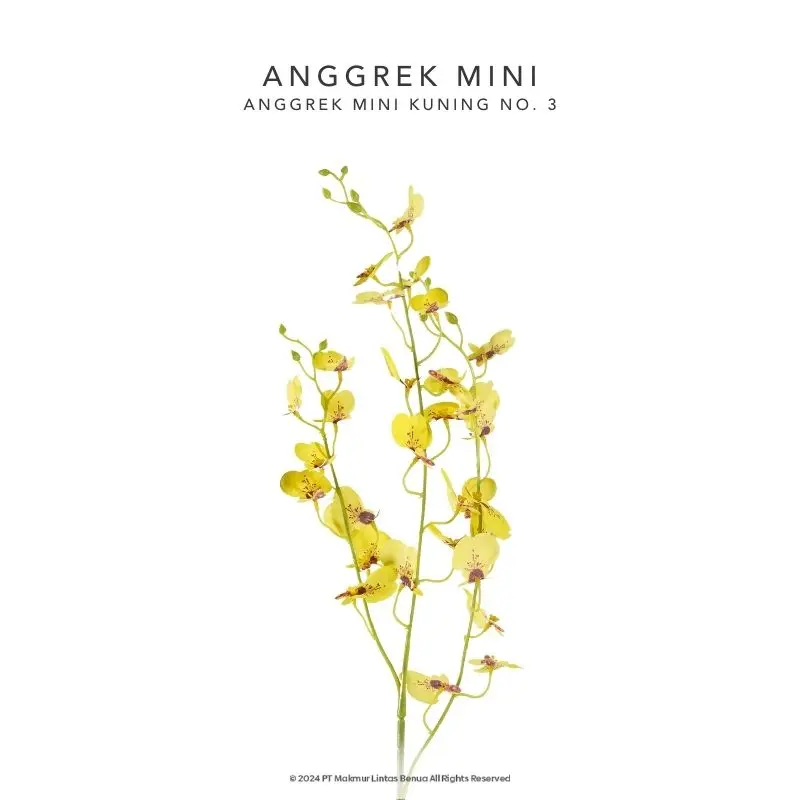 Anggrek Mini - Kuning