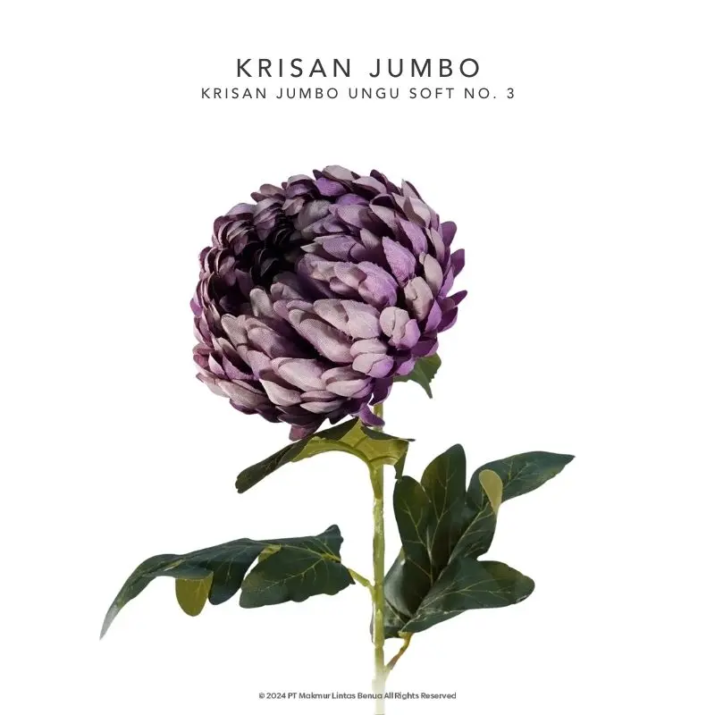Krisan Jumbo - Ungu Soft