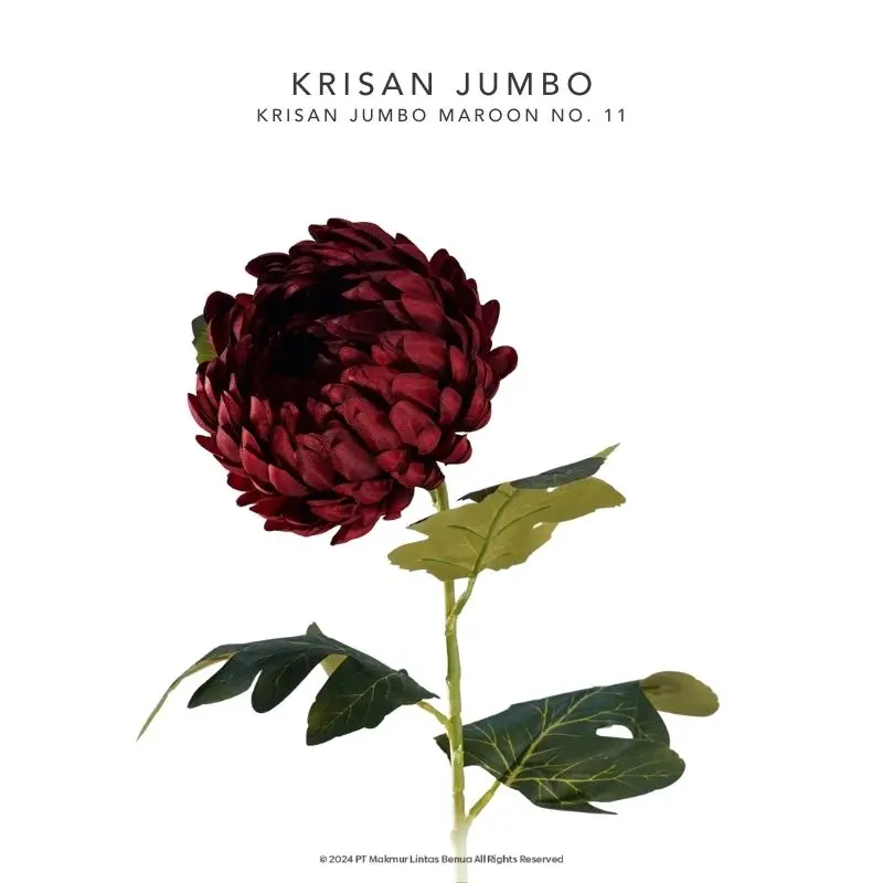 Krisan Jumbo - Maroon