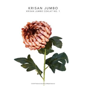 Krisan Jumbo - Coklat