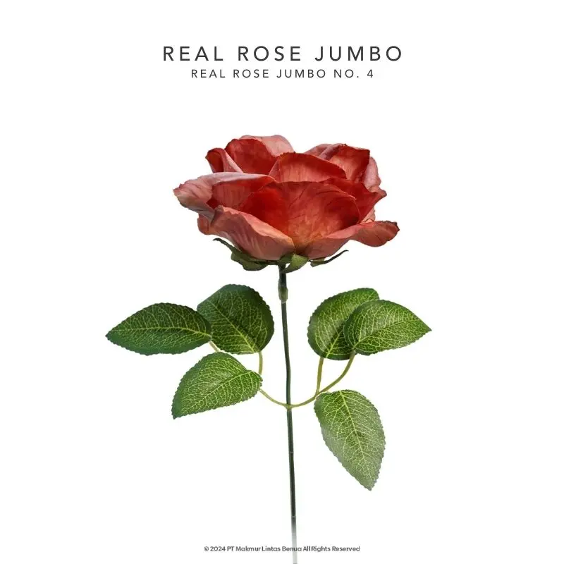 REAL ROSE JUMBO - No. 4