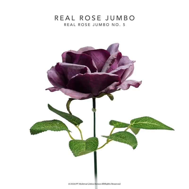 REAL ROSE JUMBO - No. 5
