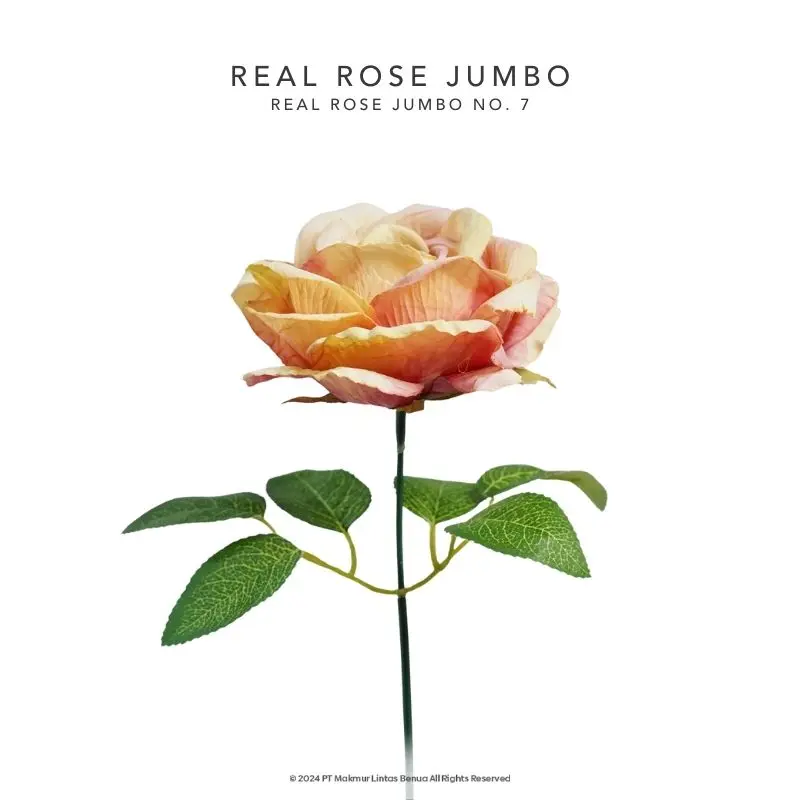 REAL ROSE JUMBO - No. 7