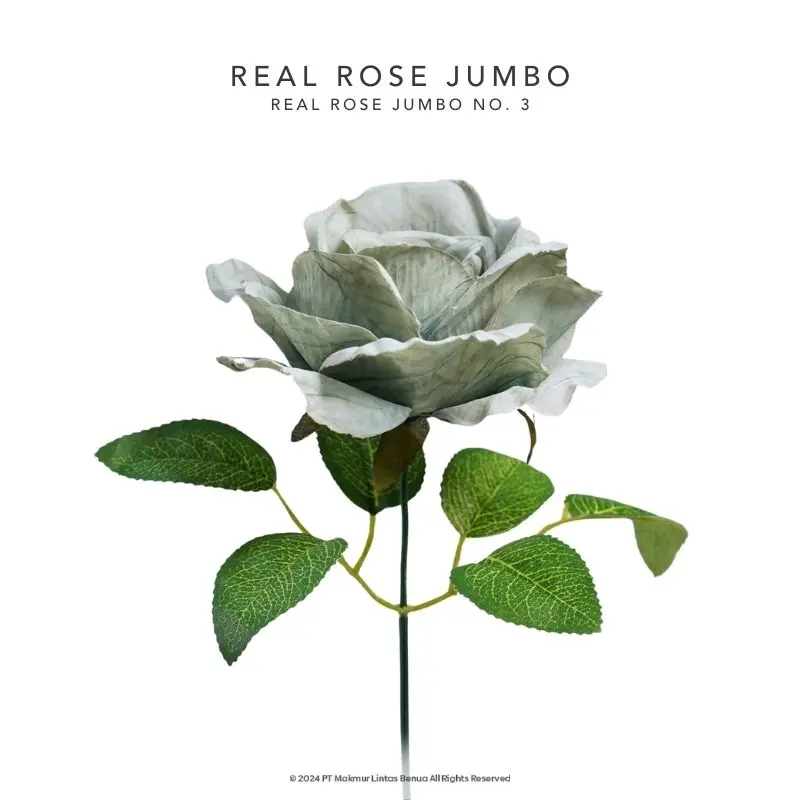 REAL ROSE JUMBO - No. 3