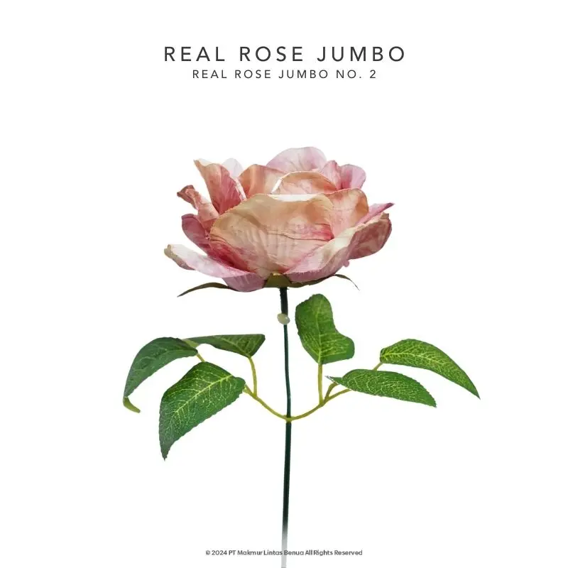 REAL ROSE JUMBO - No. 2