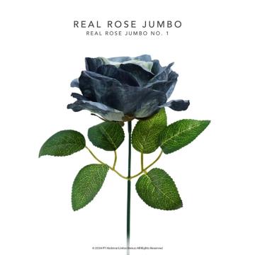 REAL ROSE JUMBO - No. 1