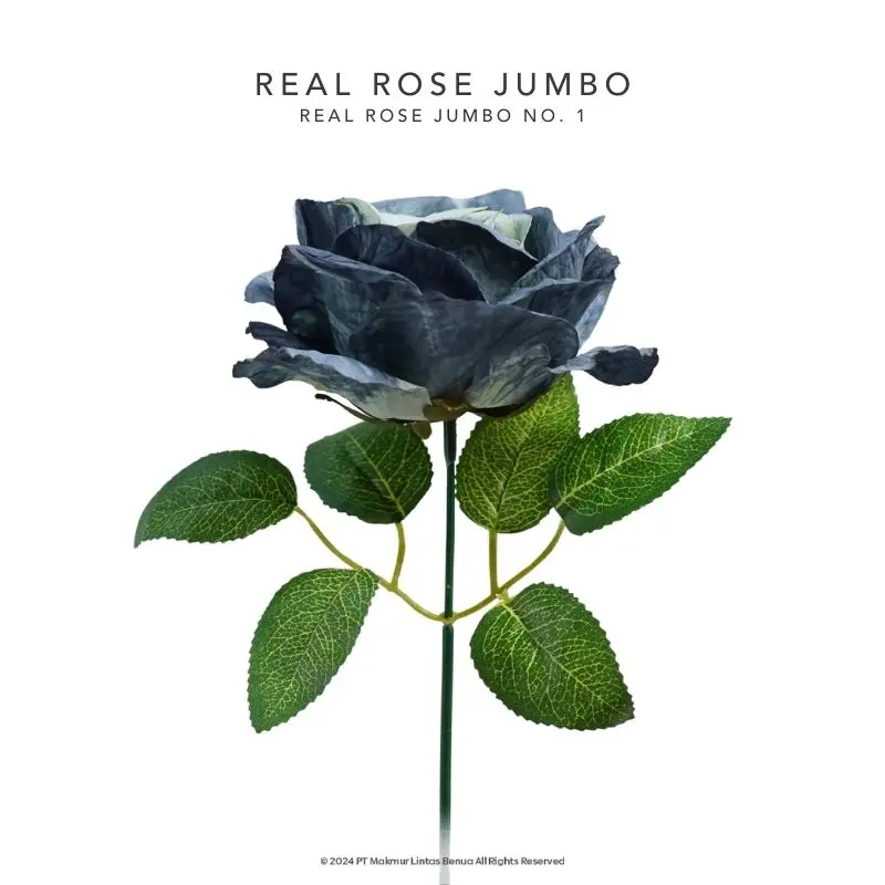REAL ROSE JUMBO - No. 1