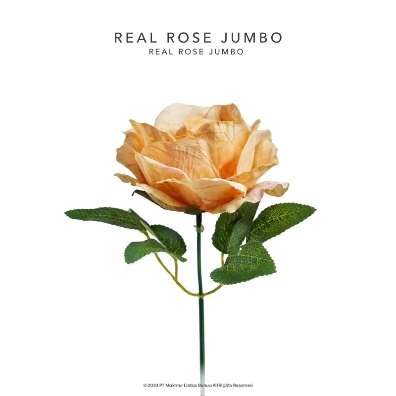 REAL ROSE JUMBO - Kuning