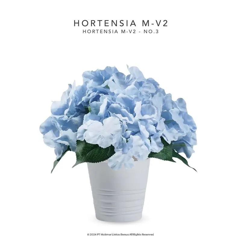 HORTENSIA M-V2 - No.3